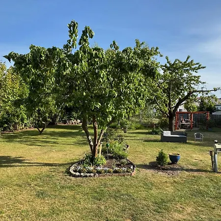 Apartment Spacious Cozy Loft For Work & Family- Near *